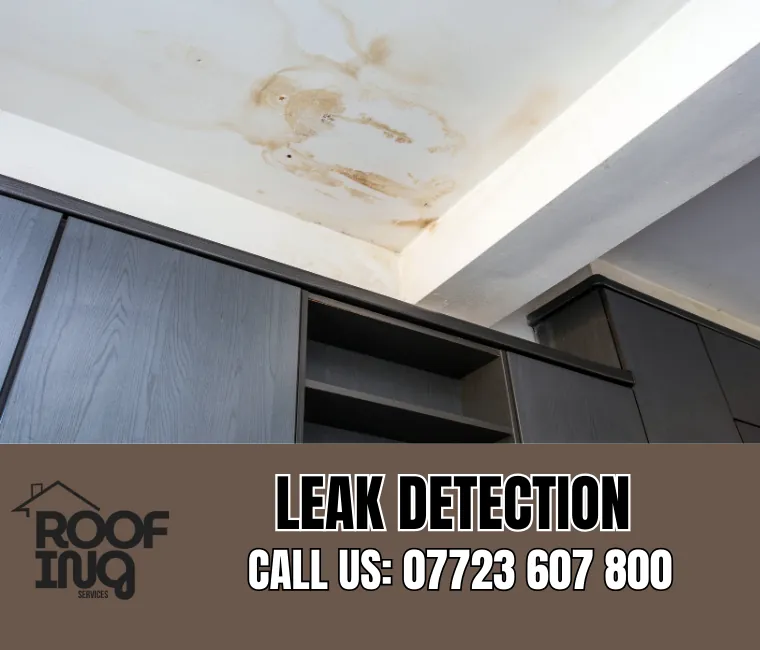 Roof Leak Detection in Crediton