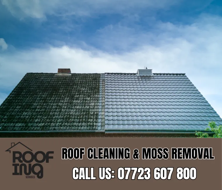 Roof cleaning and moss removal in Crediton